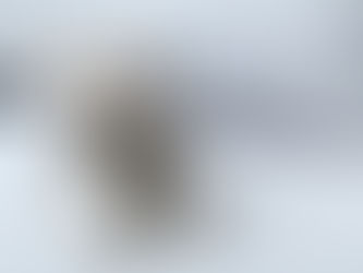 近日公開予定
