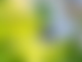 近日公開予定