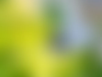 近日公開予定