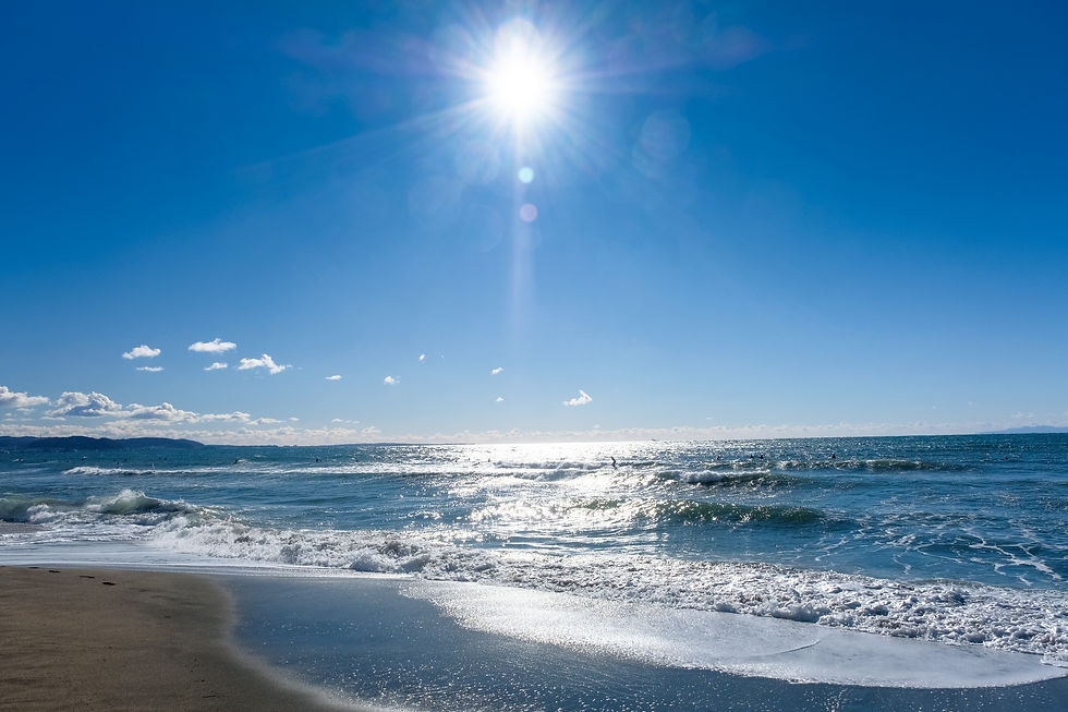 海