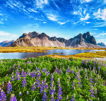 自然風景