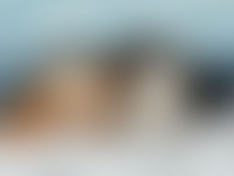 近日公開予定