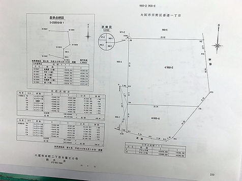 土地図面