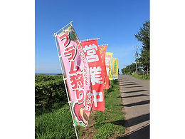 のぼり