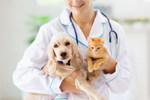 犬と猫を抱く