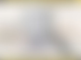 How To Identify Rodent Droppings