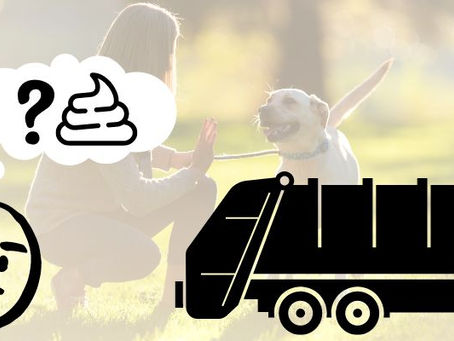 What To Do With Dog Poop Until Garbage Day