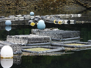 DSCN8987.JPG