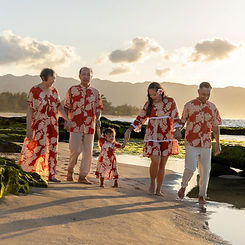 LeeOhanaHawaii-035_edited.jpg