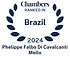 Di_Cavalcanti_Mello,_Phelippe_Falbo.jpg