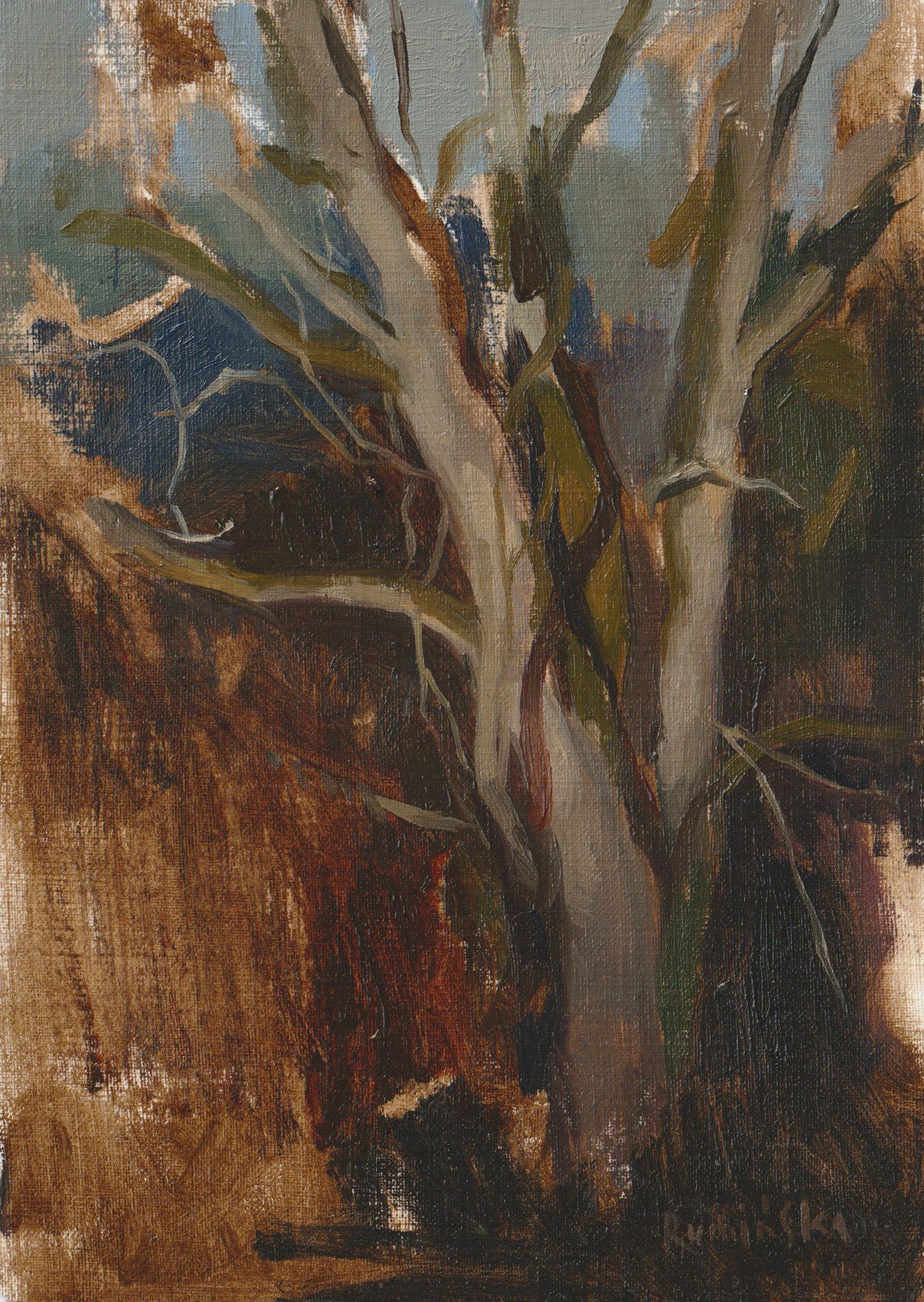 Landscape Study XVIII