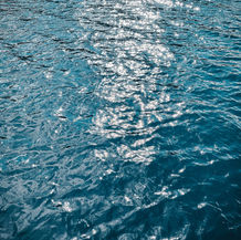 IMG_1001.JPG