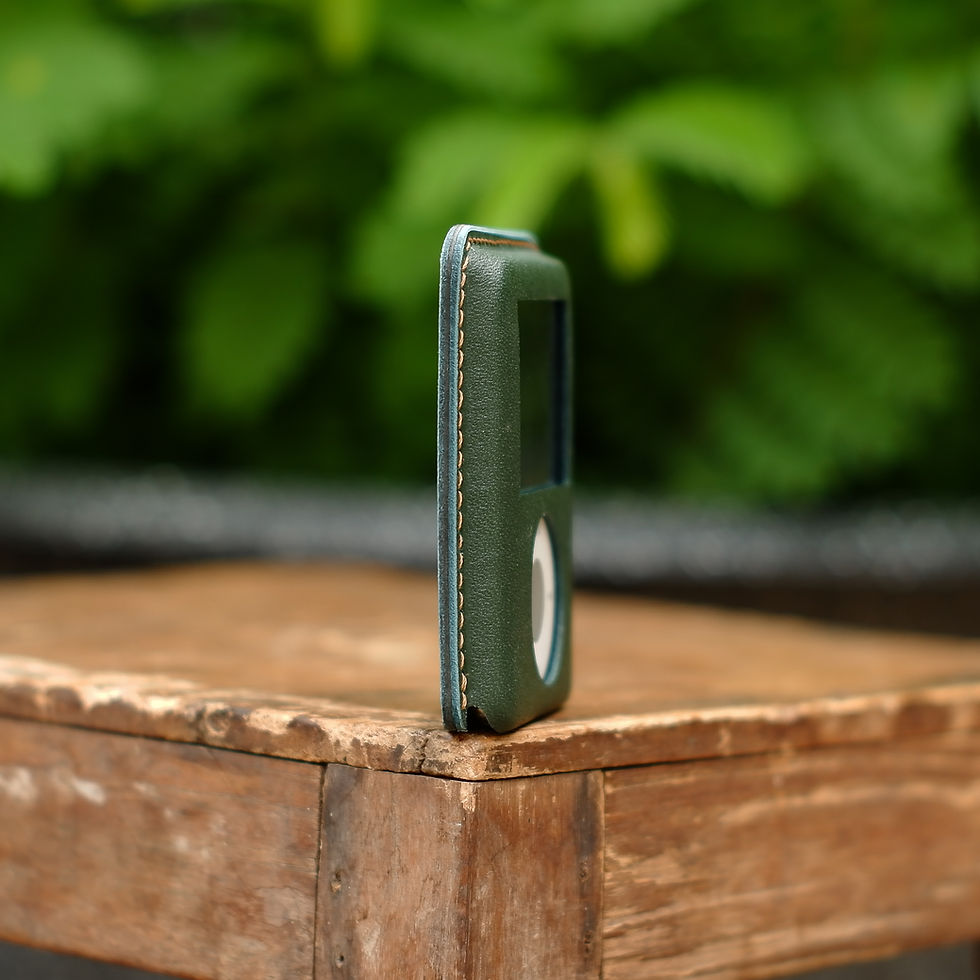 Thumbnail: Leather case for iPod Nano 3 (Green 002)