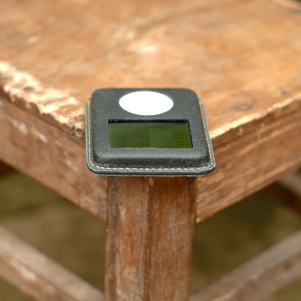 Thumbnail: Leather case for iPod Nano 3 (Green 001)