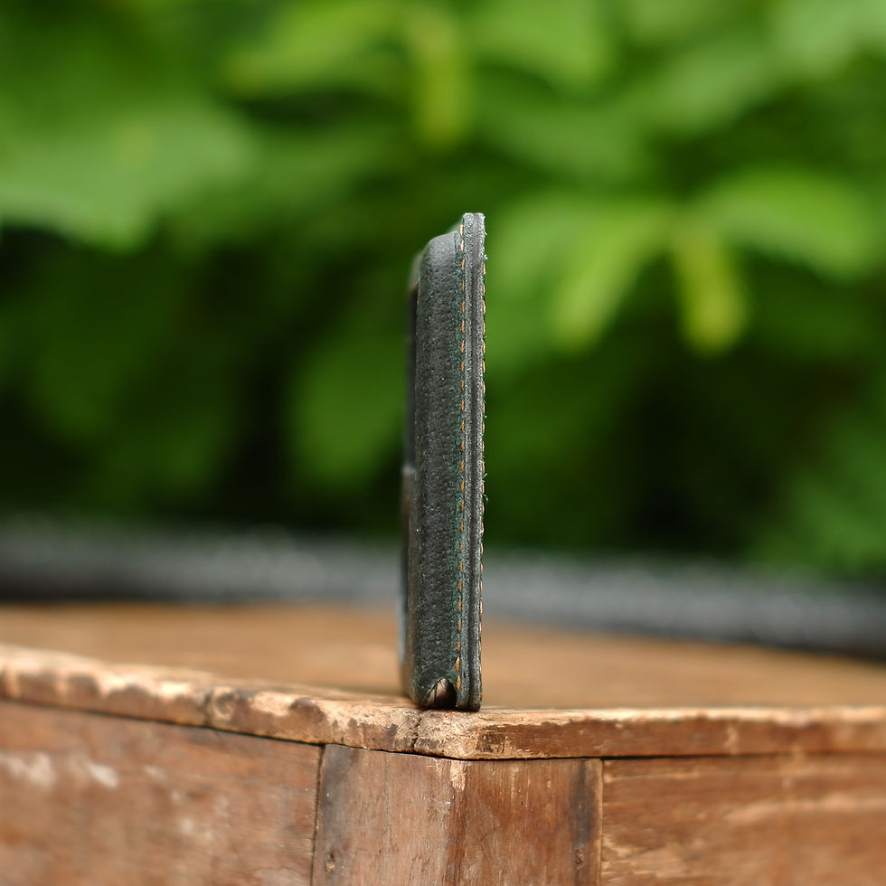 Thumbnail: Leather case for iPod Nano 3 (Green 001)