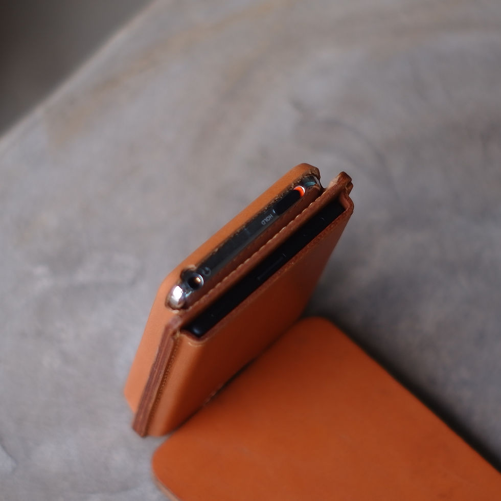 Thumbnail: Custom case: iPod Classic + Xteink X3