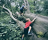 Treeboys_.jpg