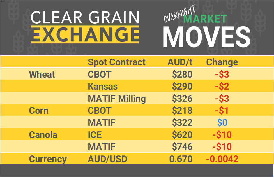 Grain Report Friday - 23rd August