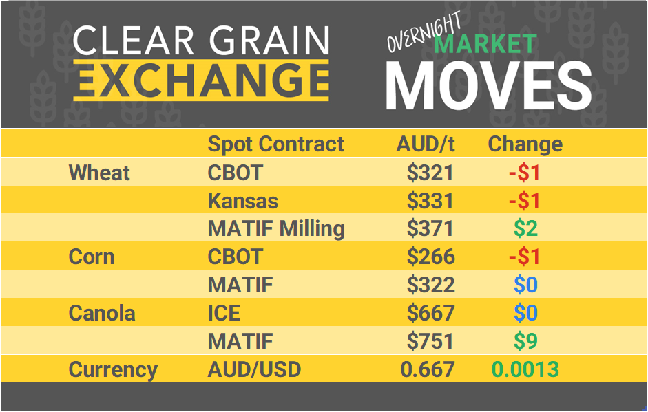 Grain Report Thursday - 20th June