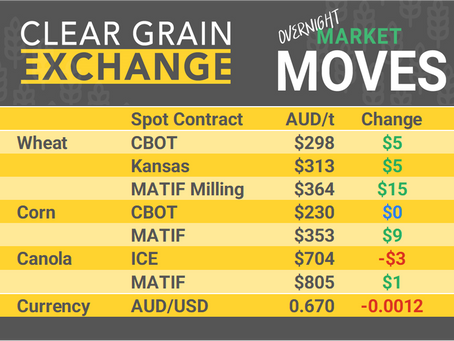 Copy of Grain Report Monday - 22th July