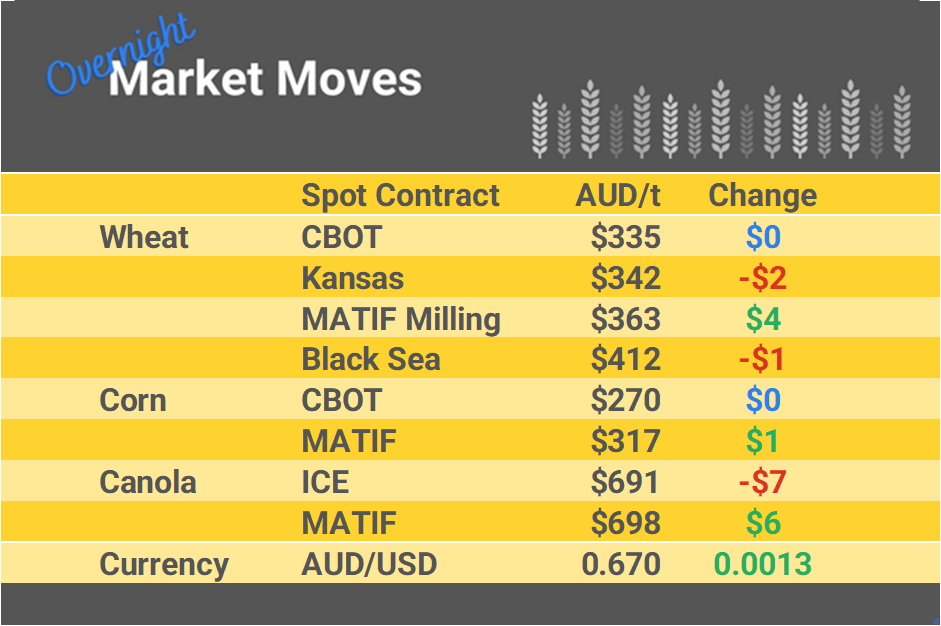 Grain Report Thursday - 11th January