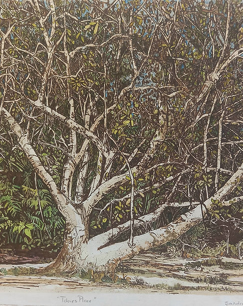 Sandra Thomas Artist Tobie's Place Hand Coloured Etching