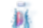 img-fascia5.png