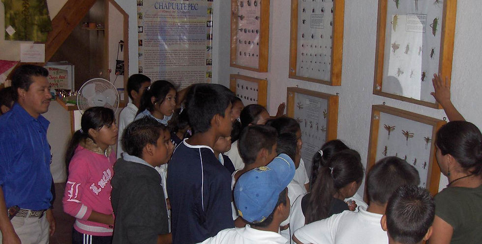 Visita al Museo vivo