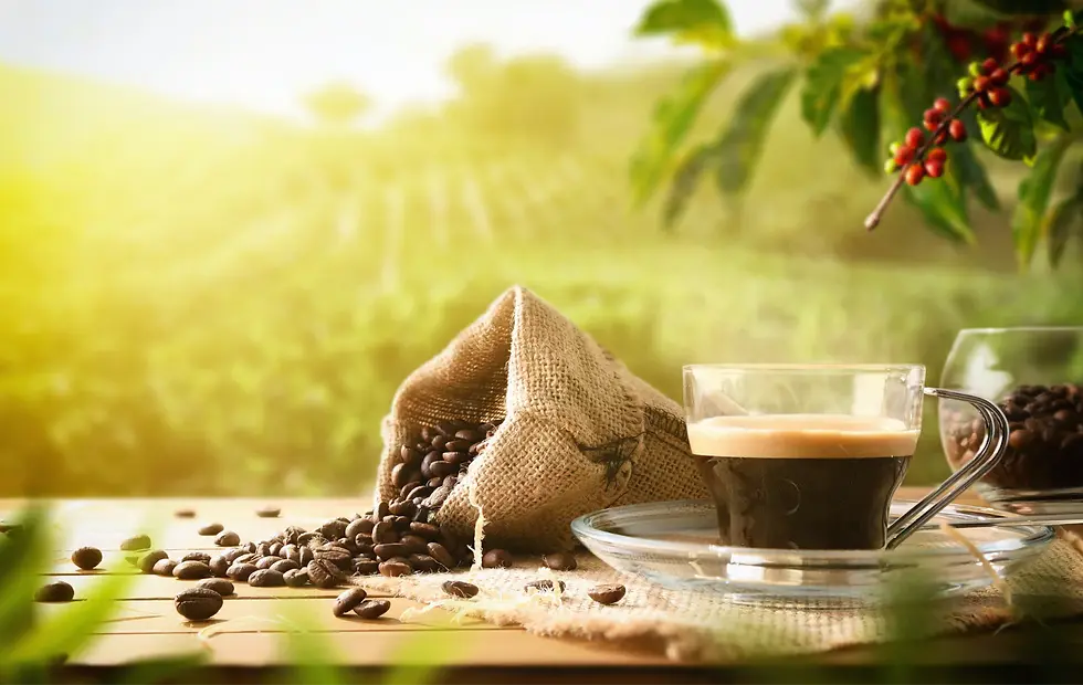 organiccoffee.webp