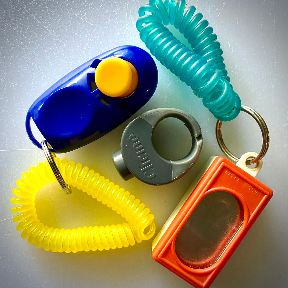 WHAT IS CLICKER TRAINING?