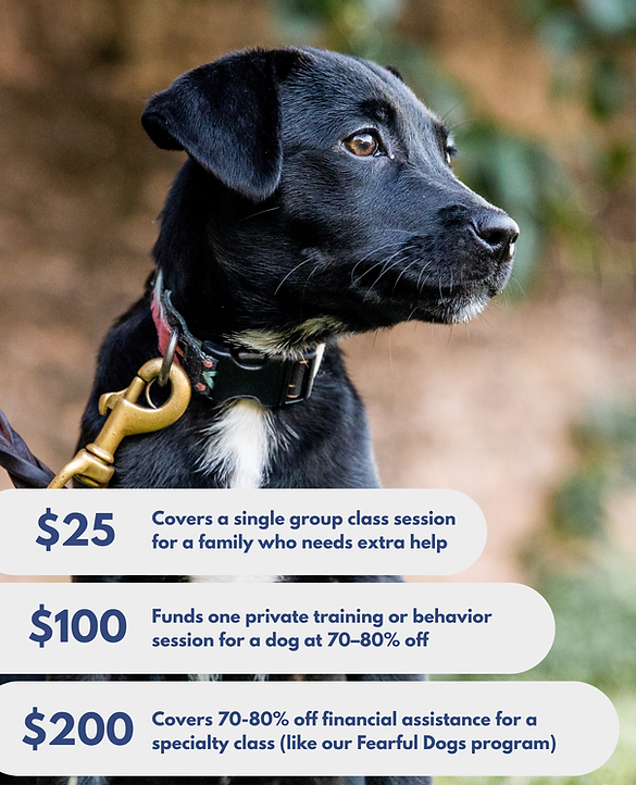 Gt Website (4 x 6 in).png