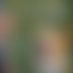 GROUNDBREAKING NATIONAL STUDY TO TRANSFORM ACCESS TO DOG BEHAVIOR CARE