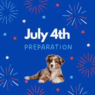Five Ways to Prepare Your Dog for 4th of July