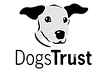 I developed Dogs Trust's legacy fundraising strategy.