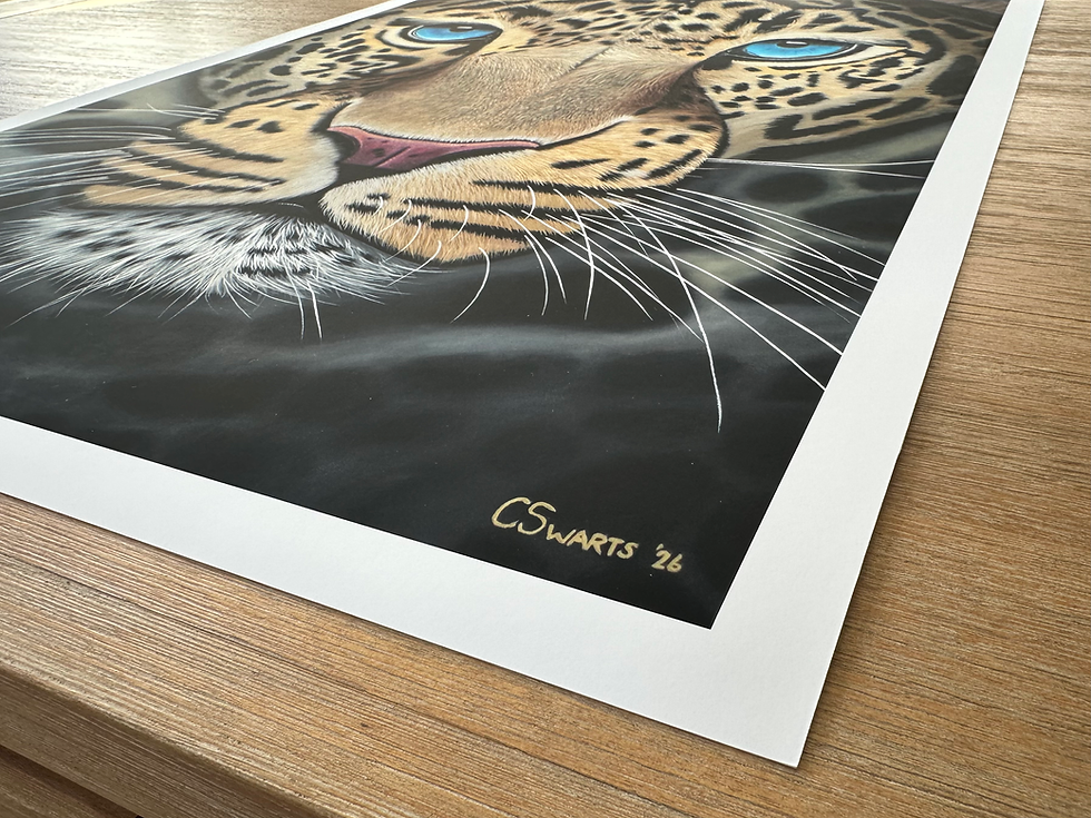 Thumbnail: Blue Gaze (Limited Edition Print)