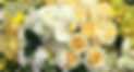 IMG_20160804_083454_01_edited.jpg
