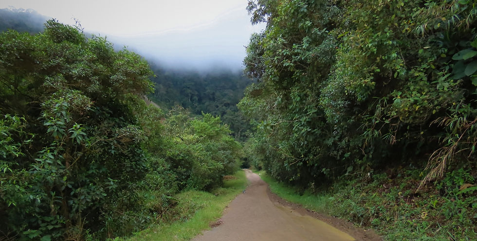 fragmentación de área protegida