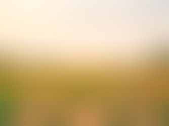 2 paths leading in different directions in a field