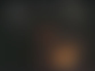 A Man Reading the bible