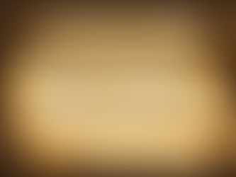 The Law Became Flesh