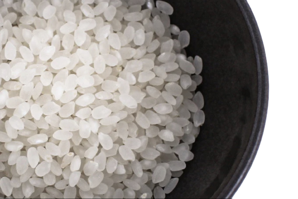 (1 KG) Koshi Hikari Premium Short Grain Rice
