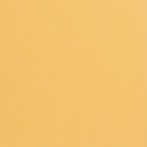 Daizu Ryshobu soy sheet for Maki -Orange