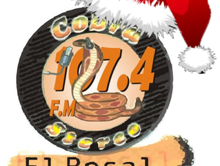 ESPECIALES DE NAVIDAD Y AÑO NUEVO