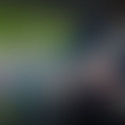 Tipos de instituciones financieras y operatoria 