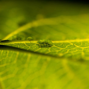 Cuidemos el agua hoy y siempre