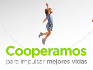 Qué es el Programa de Protección de Socios?