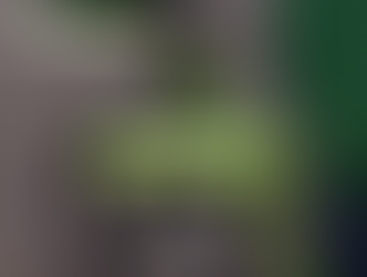 Movilidad sostenible: movernos mejor