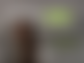 Reporte de Sostenibilidad 2025