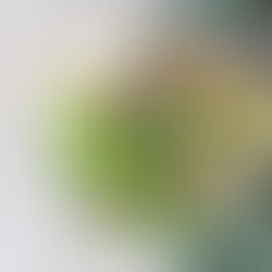 Ensaladas ricas, sanas y fáciles para el verano