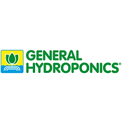 gen.png